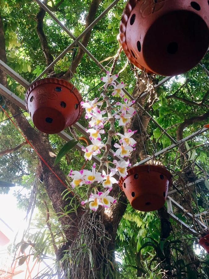 Homestay Vuon Nhan Плей Ку Екстериор снимка